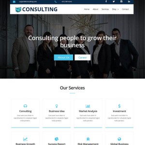 CONSULTING