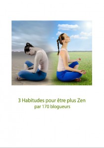 les_habitudes_zen_de_170_blogueurs